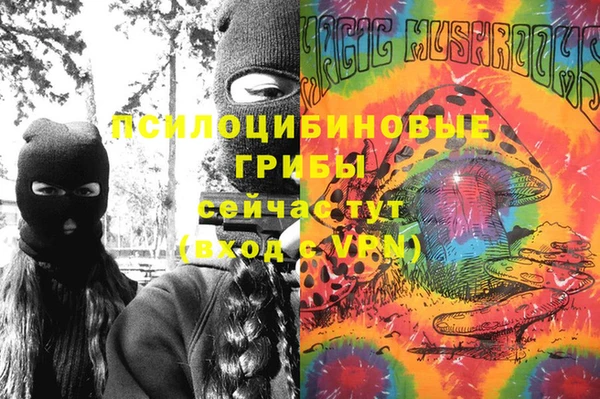 твердый Зеленодольск
