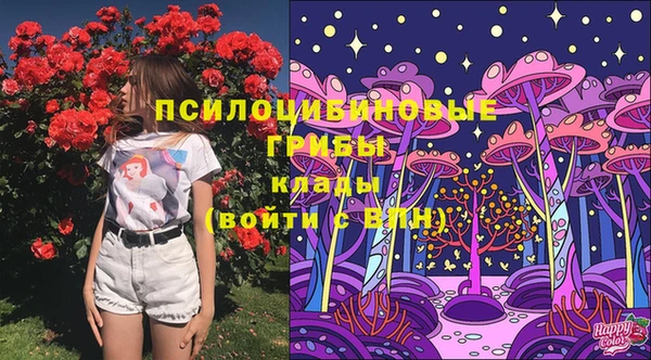 шишки Инта
