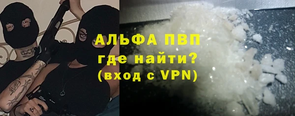 шишки Инта